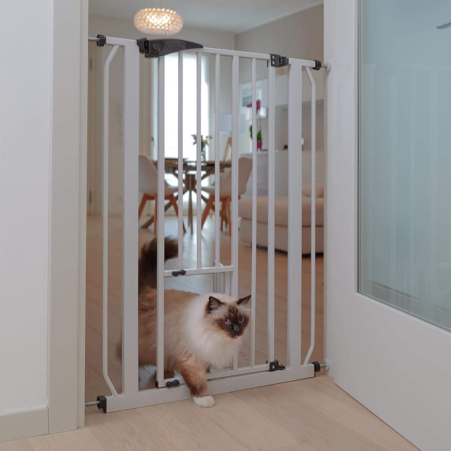Pet Gate Ferplast Cancello Cancelletto Divisorio Per Cani e Gatti Pet Gate Ferplast Cancello Cancelletto Divisorio Per Cani e Gatti